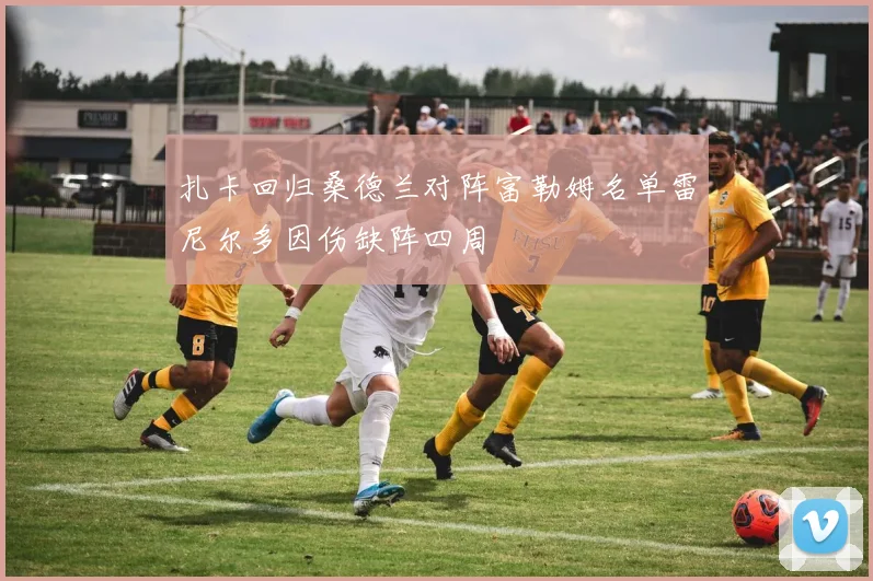 扎卡回归桑德兰对阵富勒姆名单雷尼尔多因伤缺阵四周