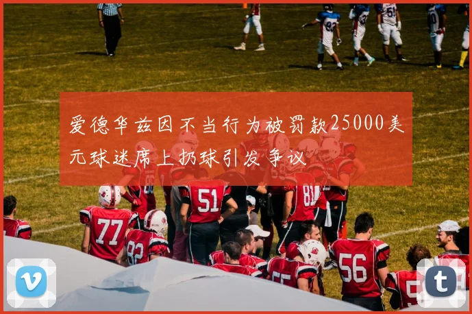 爱德华兹因不当行为被罚款25000美元球迷席上扔球引发争议